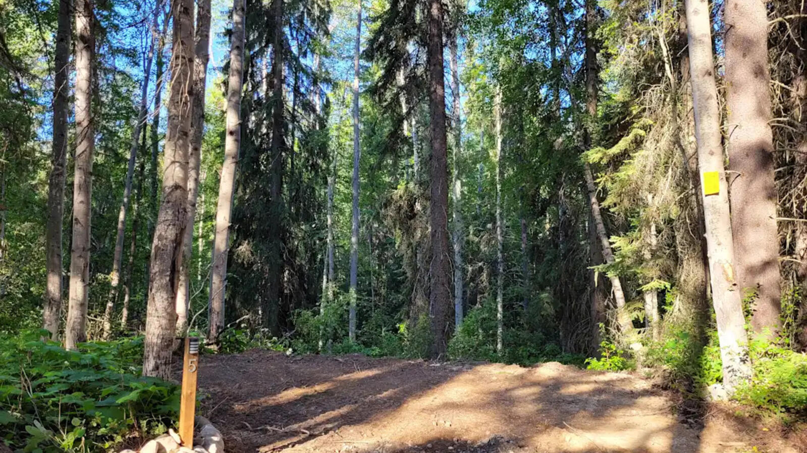 whispering-forest-campground-site-5-willow-bank